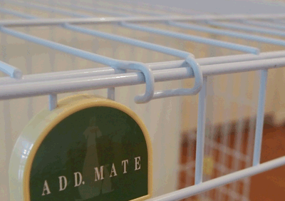 続・いっくんの “それゆけ 一球入魂 ”-ケージ4