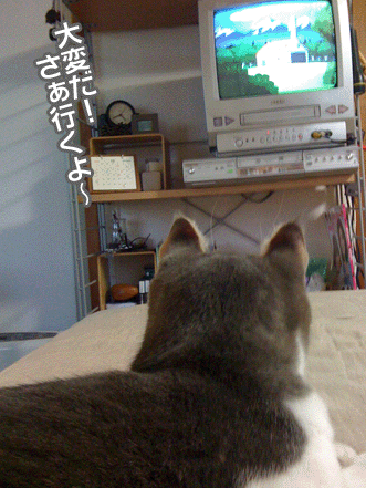続・いっくんの “それゆけ 一球入魂 ”