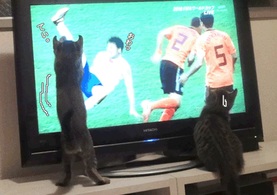 続・いっくんの “それゆけ 一球入魂 ”-なでしこ10