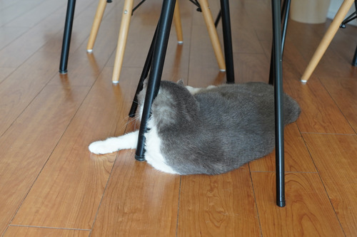 191