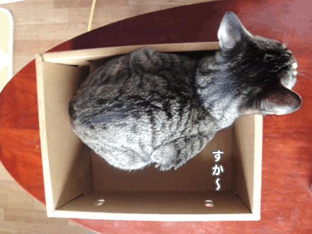 続・いっくんの “それゆけ 一球入魂 ”-箱1