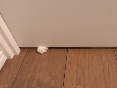 8037484C-776F-4E1D-B12A-06C65B8BFD0F