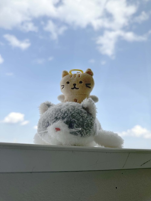 16
