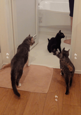 続・いっくんの “それゆけ 一球入魂 ”-お風呂1