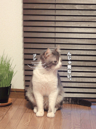 続・いっくんの “それゆけ 一球入魂 ”-じ～2