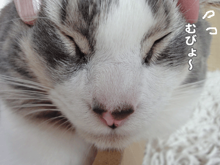 続・いっくんの “それゆけ 一球入魂 ”-む4