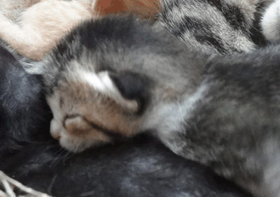 続・いっくんの “それゆけ 一球入魂 ”