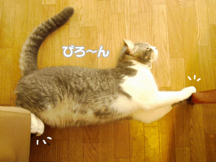 続・いっくんの “それゆけ 一球入魂 ”