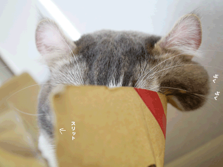 続・いっくんの “それゆけ 一球入魂 ”-ぷく2