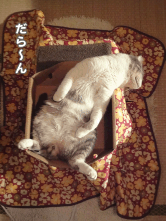 続・いっくんの “それゆけ 一球入魂 ”-だら4