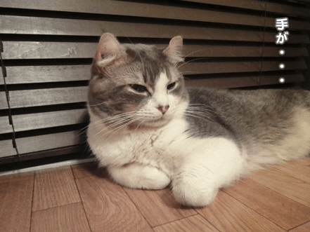 続・いっくんの “それゆけ 一球入魂 ”-手1