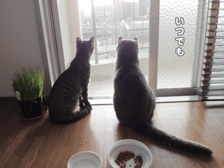 続・いっくんの “それゆけ 一球入魂 ”-一緒1