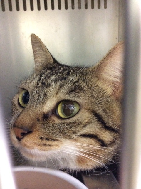 o0480064413738135766