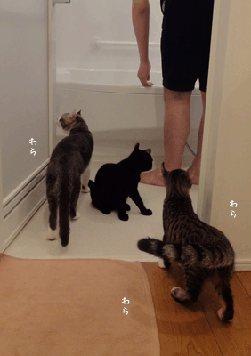 続・いっくんの “それゆけ 一球入魂 ”-お風呂2