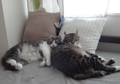 続・いっくんの “それゆけ 一球入魂 ”-まるいち