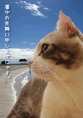 $続・いっくんの “それゆけ 一球入魂 ”