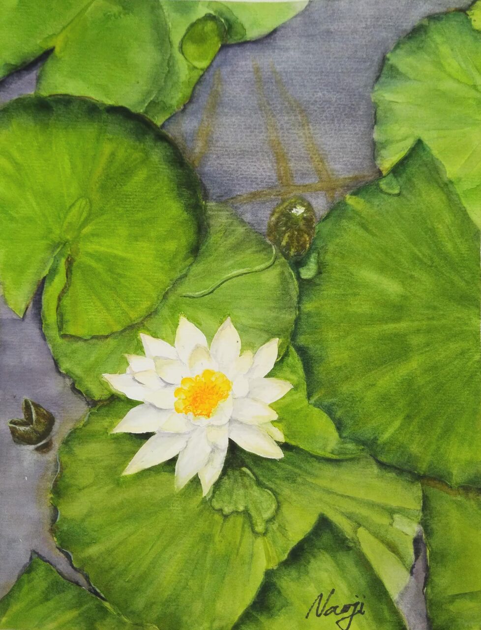 水彩画 原画 旧い 透明水彩画 759＊睡蓮の庭