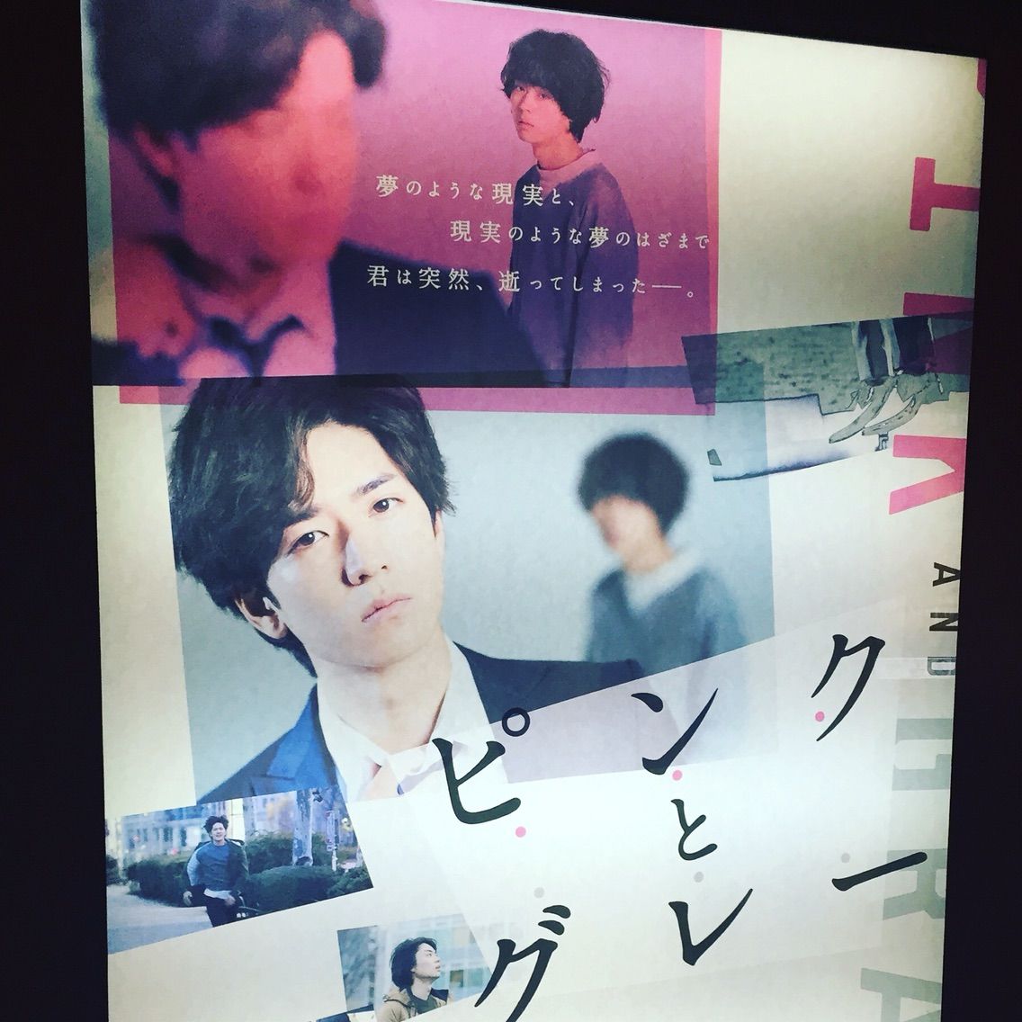 映画 ピンクとグレー 青春映画だと思ったら サスペンスだった テライヒロのブログ 映画 ピンクとグレー 青春映画だと思ったら サスペンスだった テライヒロのブログ