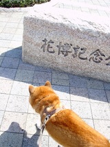 1-¤ª½Ð¤«¤±