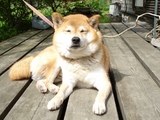 光が