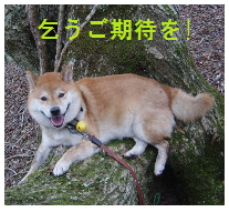 ¥´¥óÂÀ¡¢¸ð¤¦¤´´üÂÔ