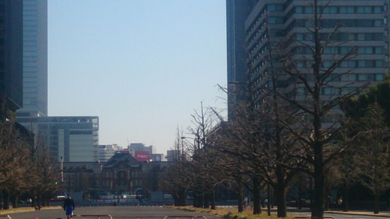 209ec21f.jpg