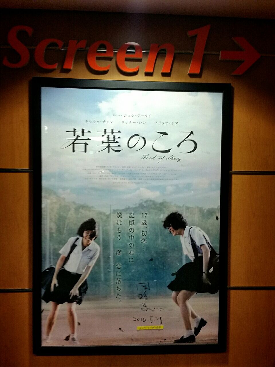 台湾好き必見 映画 若葉のころ を観た とても良かったよ いちこ見聞録