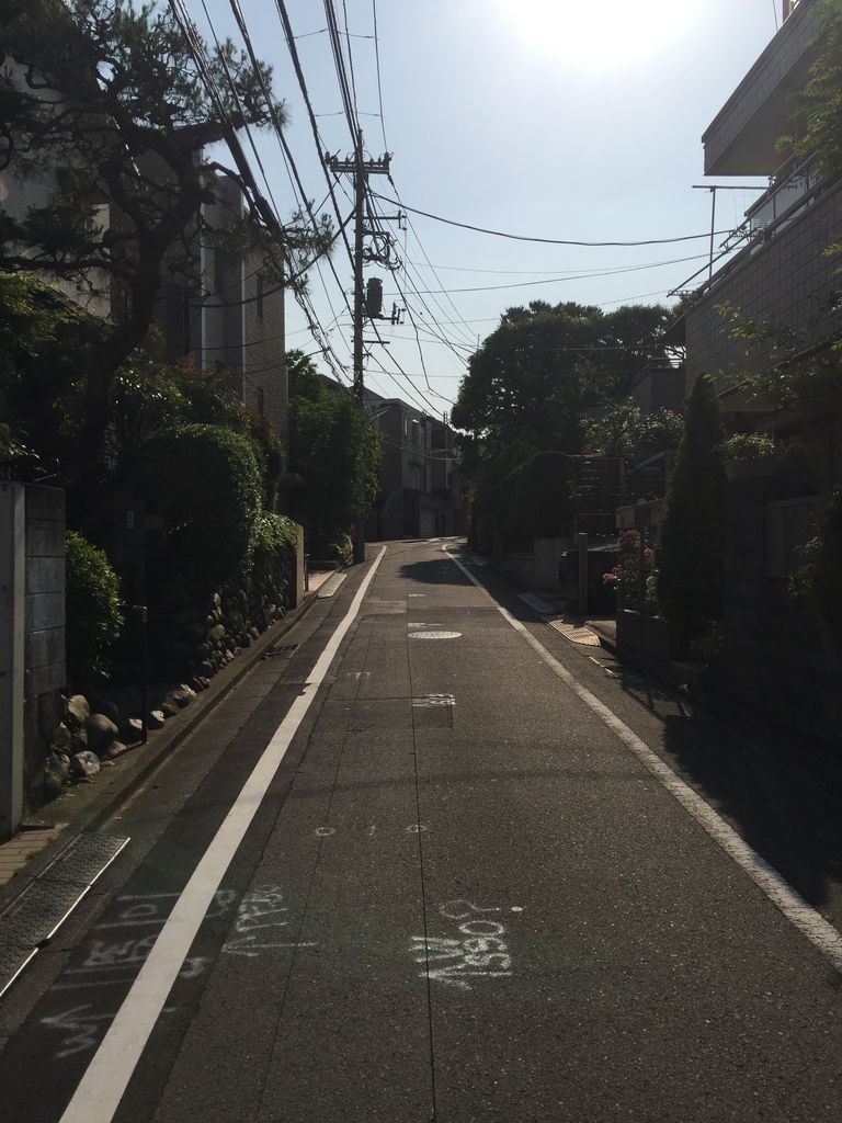 下北沢探訪記録 淫夢 Syamuの一考察 下北沢探訪記録 淫夢 Syamuの一考察