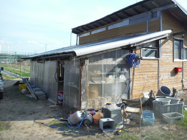解体小屋作り いちまいのおさらとわたしの暮らし 解体小屋作り いちまいのおさらとわたしの暮らし