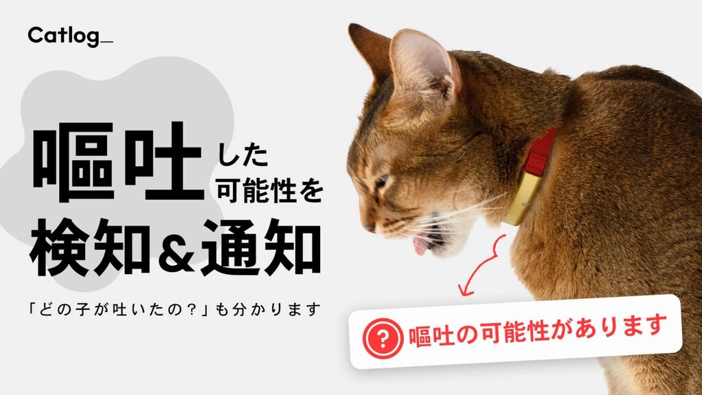 猫様の「嘔吐」の可能性をAIが検知、飼い主にお知らせ！次世代の