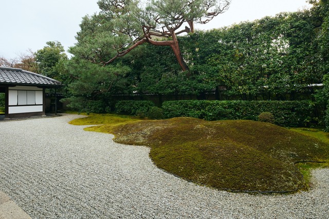 「大徳寺 大光院」の石庭