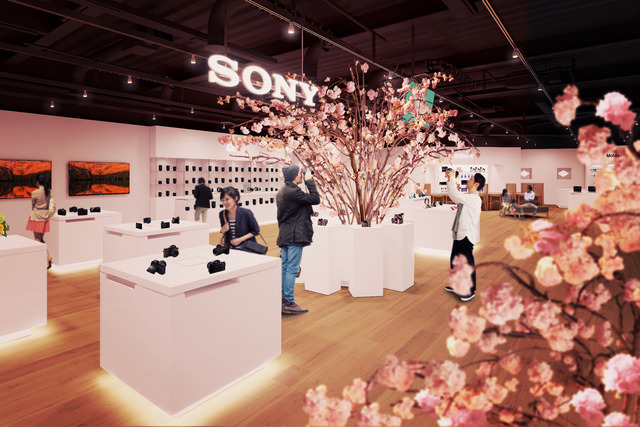 SAKURA_in_Sony_Store_Main_OneColor_20170227_PIA0001014876
