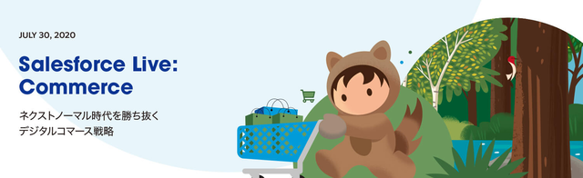 Salesforce Live Commerce