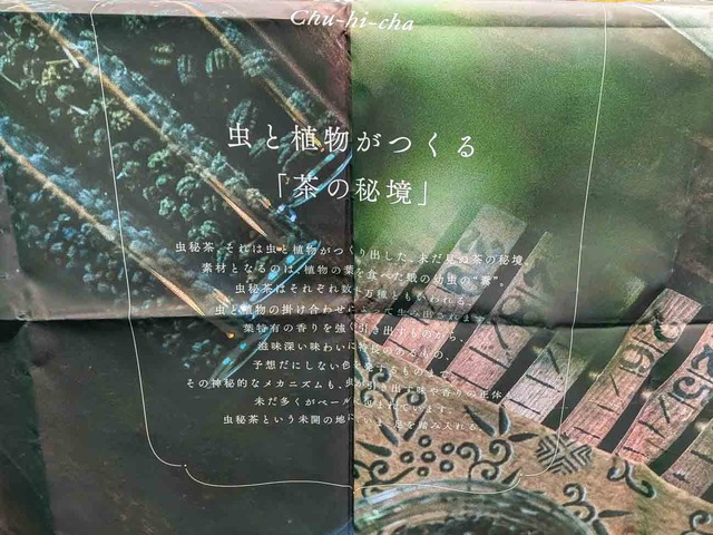 chuhicha-1