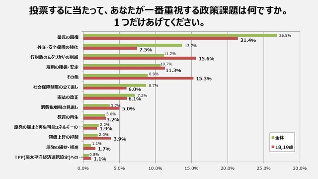 19歳】重要政策課題