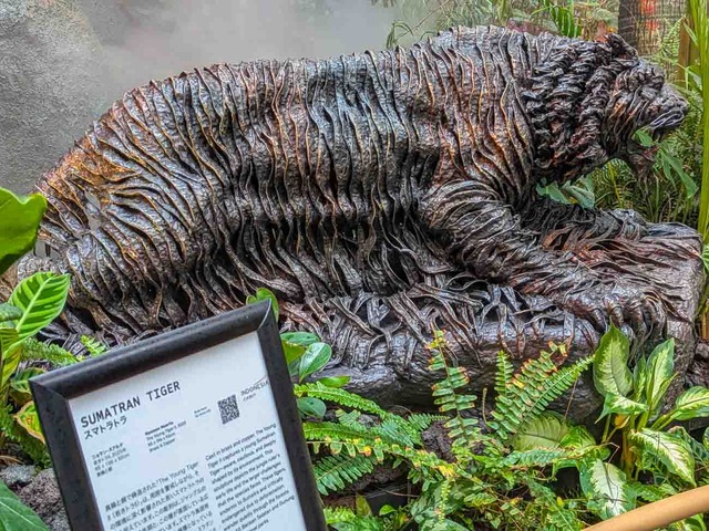 indonesia-6