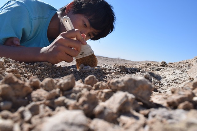 吉田純輝氏 Junki Yoshida