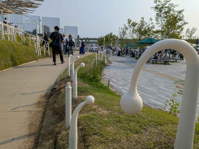 kurage-10