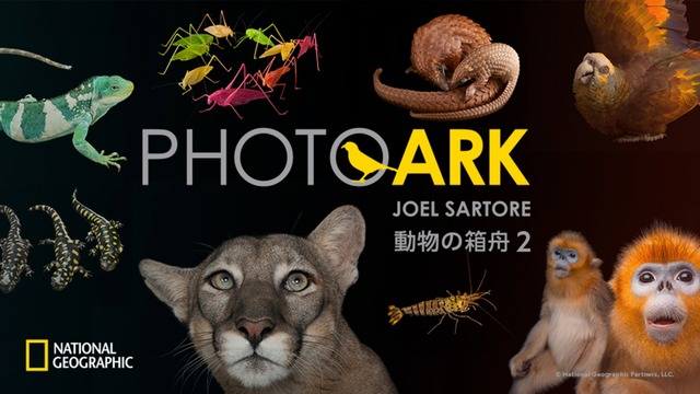 PHOTO ARK：動物の箱舟 2_KA_16x9