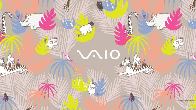 VAIO_08