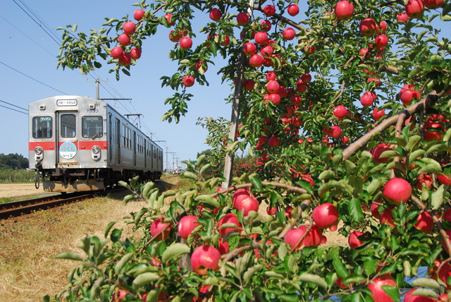 03_水_弘南鉄道　DSC_1209