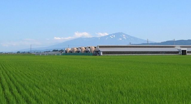 s平田牧場