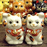 【天然記念物】幸運を呼ぶ♪ちび招き猫 金三毛（ペア）