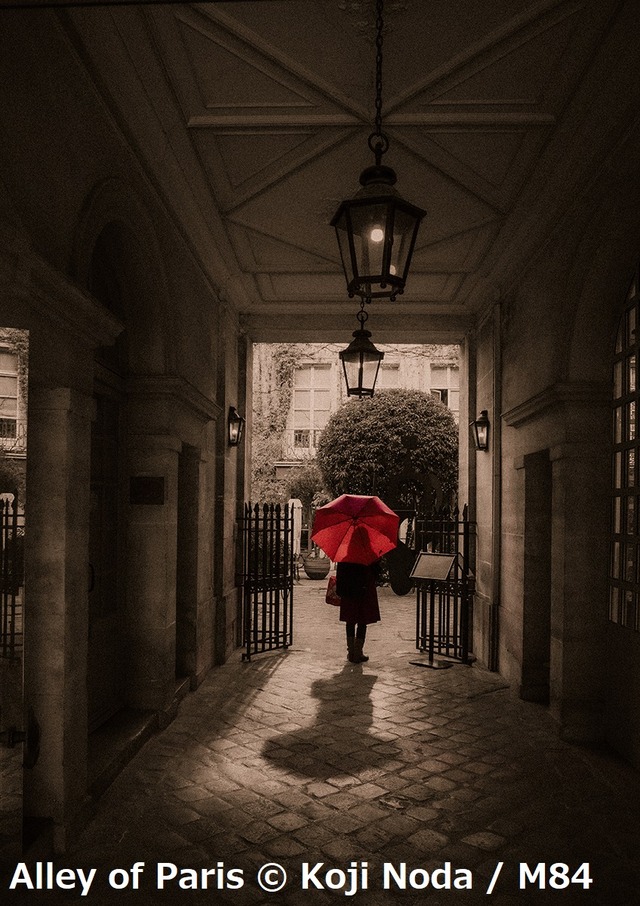 Alley of Paris