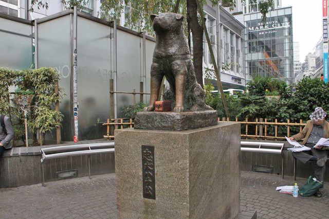 image005