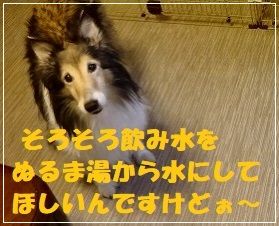 DSC05913a (69)