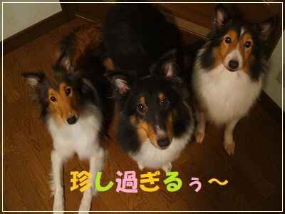 DSCF0543