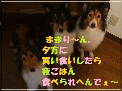 DSCF0541