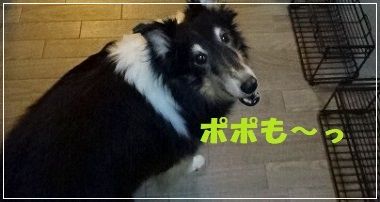 DSC05913a (75)