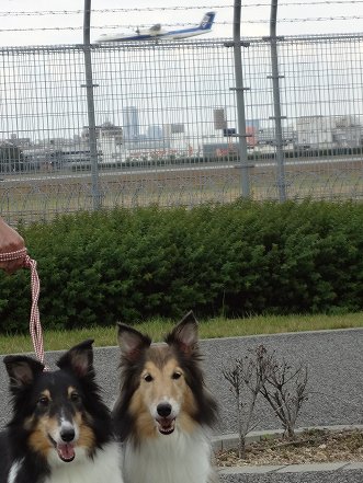 しゅせ使用DSC04479